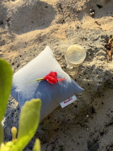 poduszka puchowa Bella Organic Travel 2.jpg